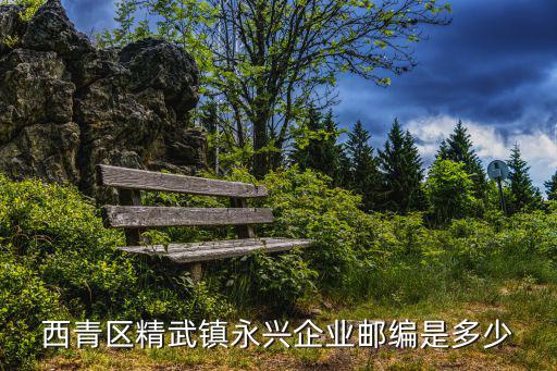 天津市西青區(qū)精武鎮(zhèn)注冊營業(yè)執(zhí)照，西青區(qū)精武鎮(zhèn)永興企業(yè)郵編是多少