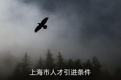 上海市人才引進條件