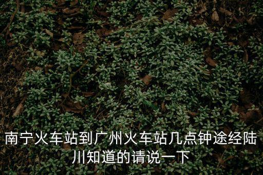 南寧到廣州火車站時刻，南寧火車站到廣州火車站幾點鐘途經陸川知道的請說一下