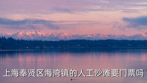 上海奉賢區(qū)海灣鎮(zhèn)的人工沙灘要門票嗎
