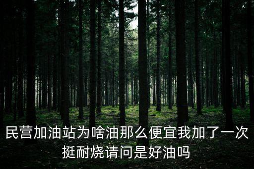 民營(yíng)加油站為啥油那么便宜我加了一次挺耐燒請(qǐng)問是好油嗎