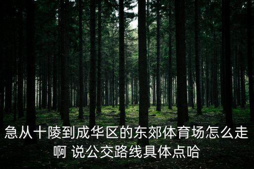 急從十陵到成華區(qū)的東郊體育場(chǎng)怎么走啊 說公交路線具體點(diǎn)哈