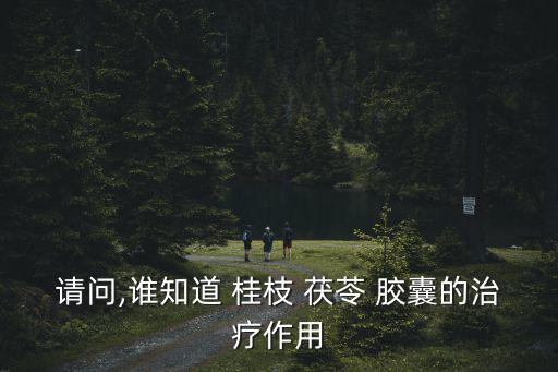 請問,誰知道 桂枝 茯苓 膠囊的治療作用