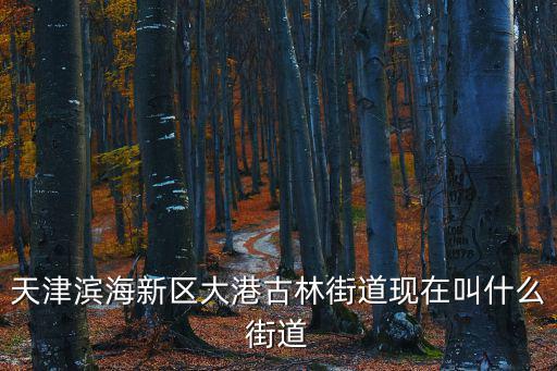 天津市濱海新區大港街有幾個，天津大港步行街有幾個都分別叫什么在哪