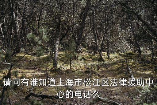 松江區法律援助中心地址在哪里，法律援助中心在哪