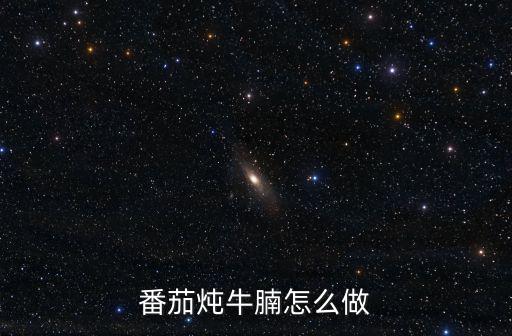 番茄燉牛腩怎么做