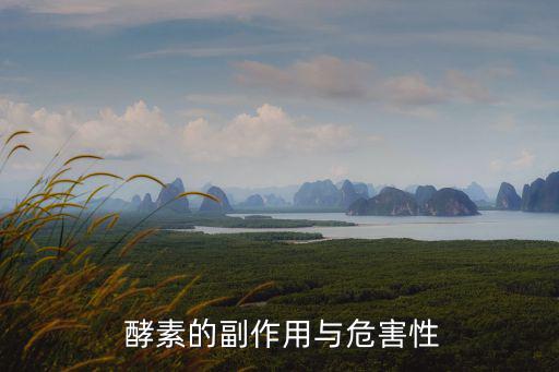 酵素的副作用,酵素減肥好處多有哪些?