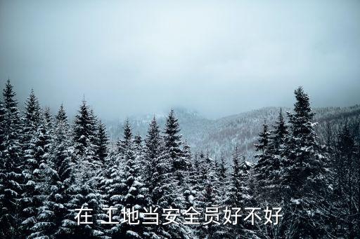 在 工地當安全員好不好