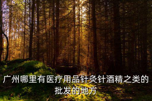 廣州哪里有醫(yī)療用品針灸針酒精之類的批發(fā)的地方