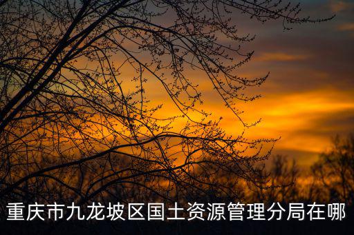 重慶市九龍坡區國土資源管理分局在哪
