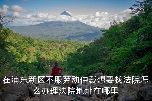 在浦東新區不服勞動仲裁想要找法院怎么辦理法院地址在哪里