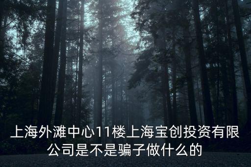 上海外灘中心有哪些公司，上海外灘中心11樓上海寶創投資有限公司是不是騙子做什么的