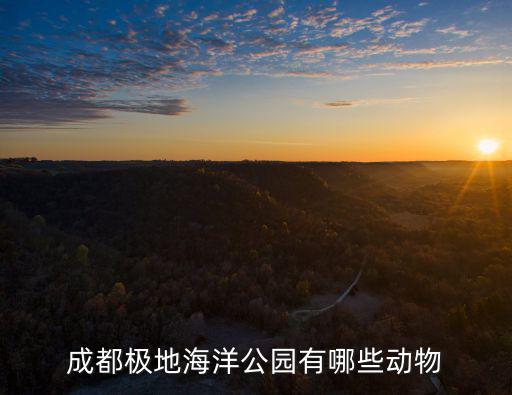 成都極地海洋公園有哪些動物