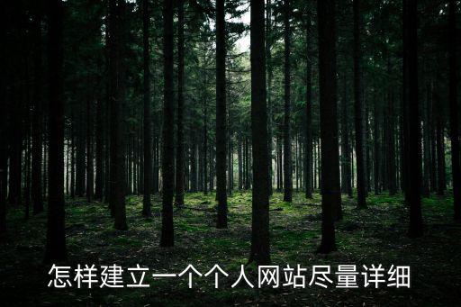 怎樣建立一個個人網站盡量詳細