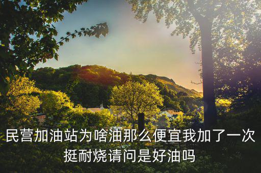 廣州泗喜加油站怎么這么便宜，有些很大加油站92號油還很便宜為什么