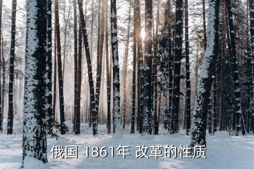  俄國 1861年 改革的性質(zhì)