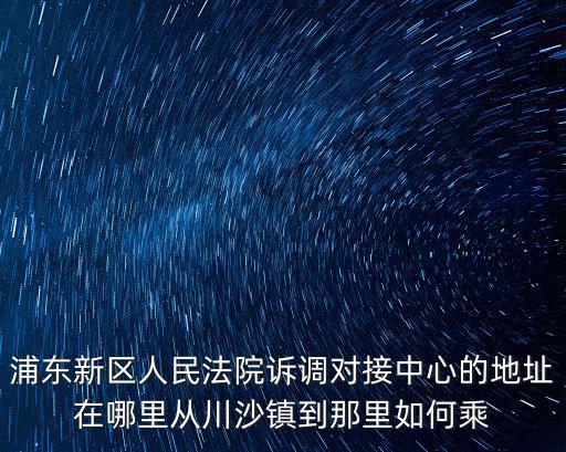浦東新區立案庭地址，上海浦東人民法院在什么路上