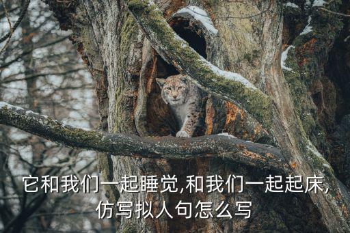 一起的起怎么寫,第二集:我和你一起走過的日子
