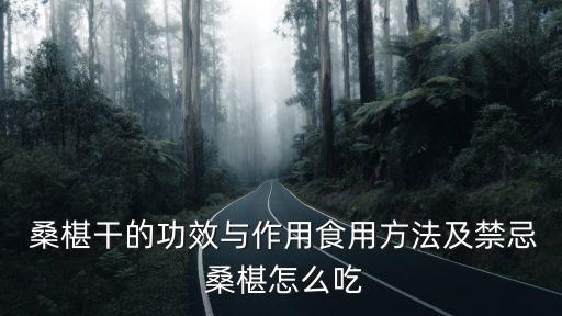  桑椹干的功效與作用食用方法及禁忌 桑椹怎么吃
