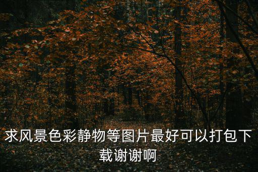 求風景色彩靜物等圖片最好可以打包下載謝謝啊