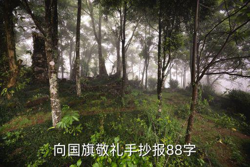 向國旗敬禮手抄報，向國旗敬禮手抄報要寫些什么內容呢小學三年級的