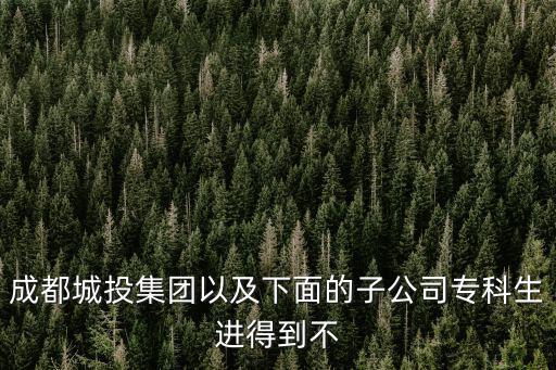 成都城投集團以及下面的子公司專科生進得到不