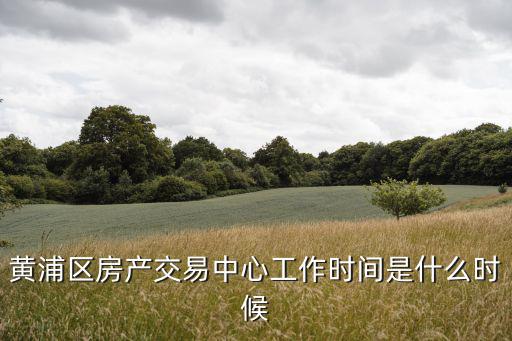 黃浦區房產交易中心工作時間是什么時候