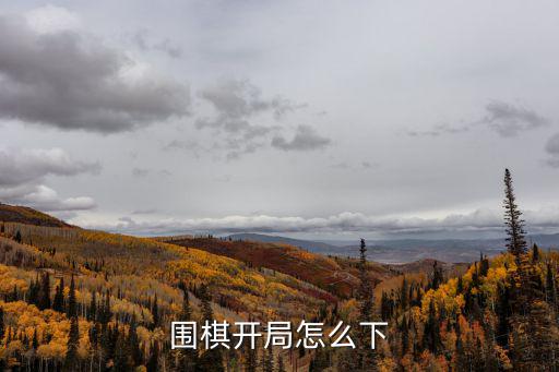 圍棋開局怎么下