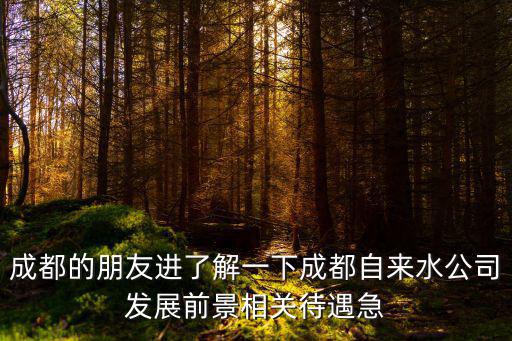 成都的朋友進了解一下成都自來水公司發(fā)展前景相關(guān)待遇急