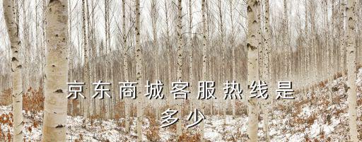 京 東 商 城 客 服 熱 線 是 多 少