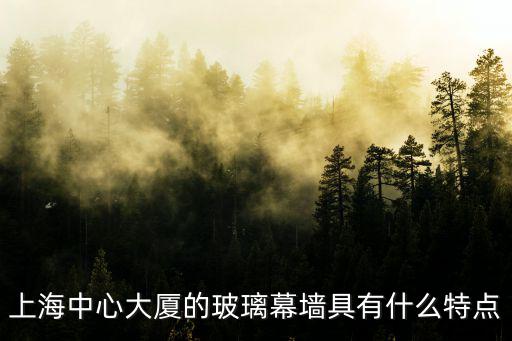 上海中心大廈的特點(diǎn)，上海的商業(yè)中心布局特點(diǎn)是什么