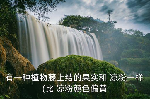 涼粉果,涼粉果制涼果可以做涼果