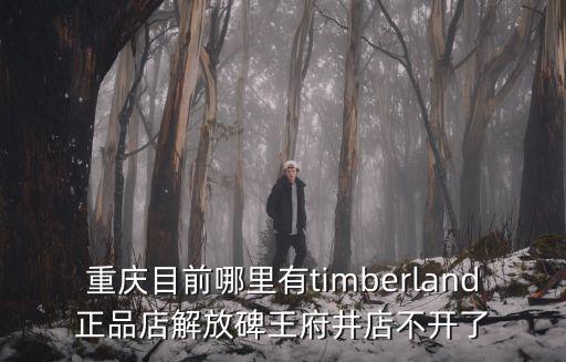 重慶目前哪里有timberland正品店解放碑王府井店不開了