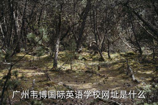 廣州韋博國際英語學校網址是什么
