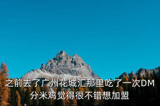 之前去了廣州花城匯那里吃了一次DM分米雞覺得很不錯想加盟