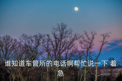 誰知道車管所的電話啊幫忙說一下 著急