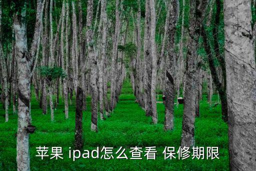 蘋果 ipad怎么查看 保修期限