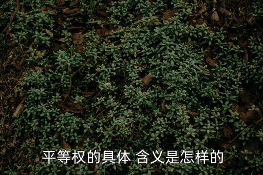  平等權的具體 含義是怎樣的