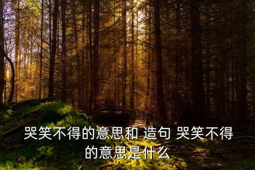  哭笑不得的意思和 造句 哭笑不得的意思是什么