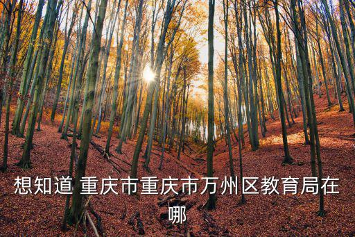 想知道 重慶市重慶市萬州區教育局在哪