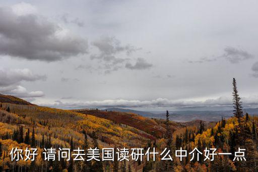 你好 請問去美國讀研什么中介好一點