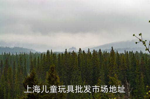 上海兒童玩具批發市場地址