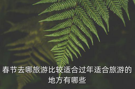 春節去哪旅游比較適合過年適合旅游的地方有哪些
