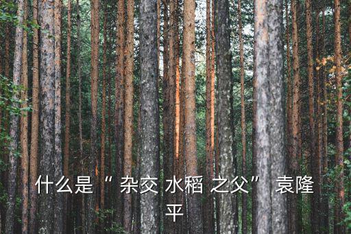 什么是“ 雜交 水稻 之父” 袁隆平