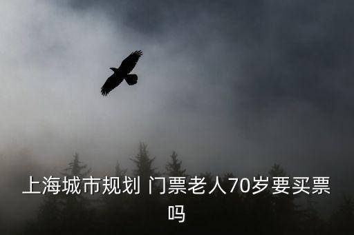 上海城市規劃 門票老人70歲要買票嗎