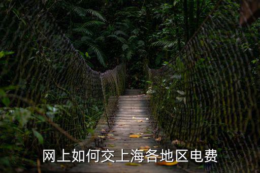 網(wǎng)上如何交上海各地區(qū)電費
