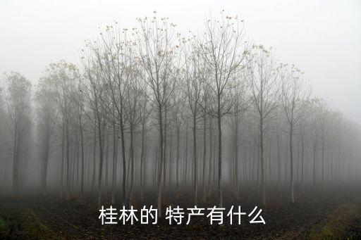 桂林有什么特產,廣西壯族自治區:桂林出產三華酒和桂林豆腐腦