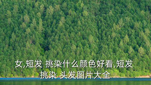 女,短發 挑染什么顏色好看,短發 挑染 頭發圖片大全