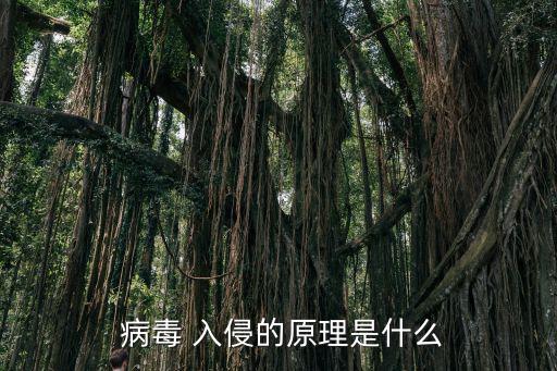 病毒入侵,騰訊電腦管家病毒查殺功能為例分為基礎傳播方式