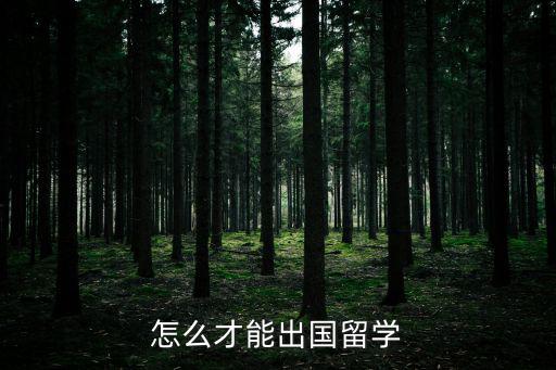 怎么才能出國留學